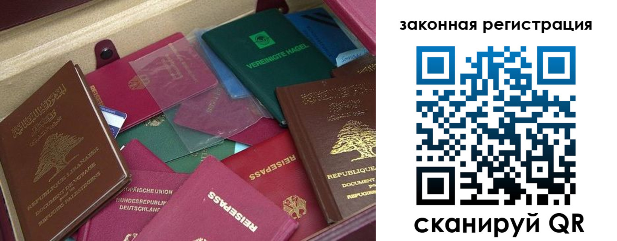 купить прописку в Козельске